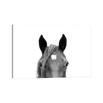 iCanvas "Peeking Horse In Black & White" by Sisi & Seb Canvas Print