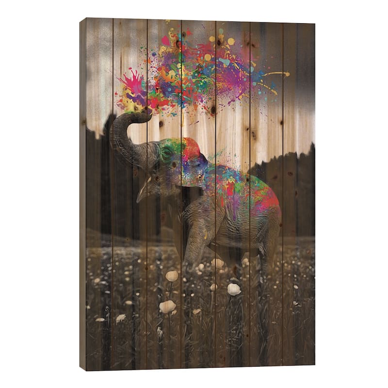 Elephant Enjoy Color Splash Paint Print On Wood by GEN Z - Multi-Color - 26x18x1.5