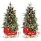 Option 2#2Pcs
