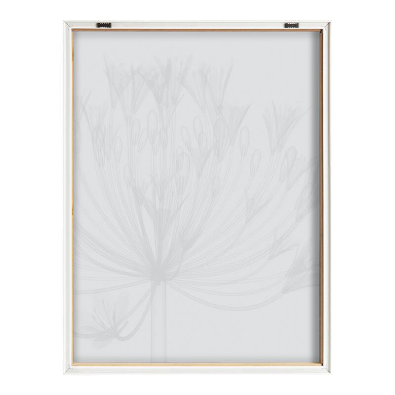 Kate and Laurel Blake Agapanthus Printed Art by Creative Bunch Studio