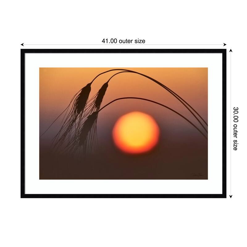 Wheat and Sunrise by Dennis Frates Wood Framed Wall Art Print - 41 x 30 in