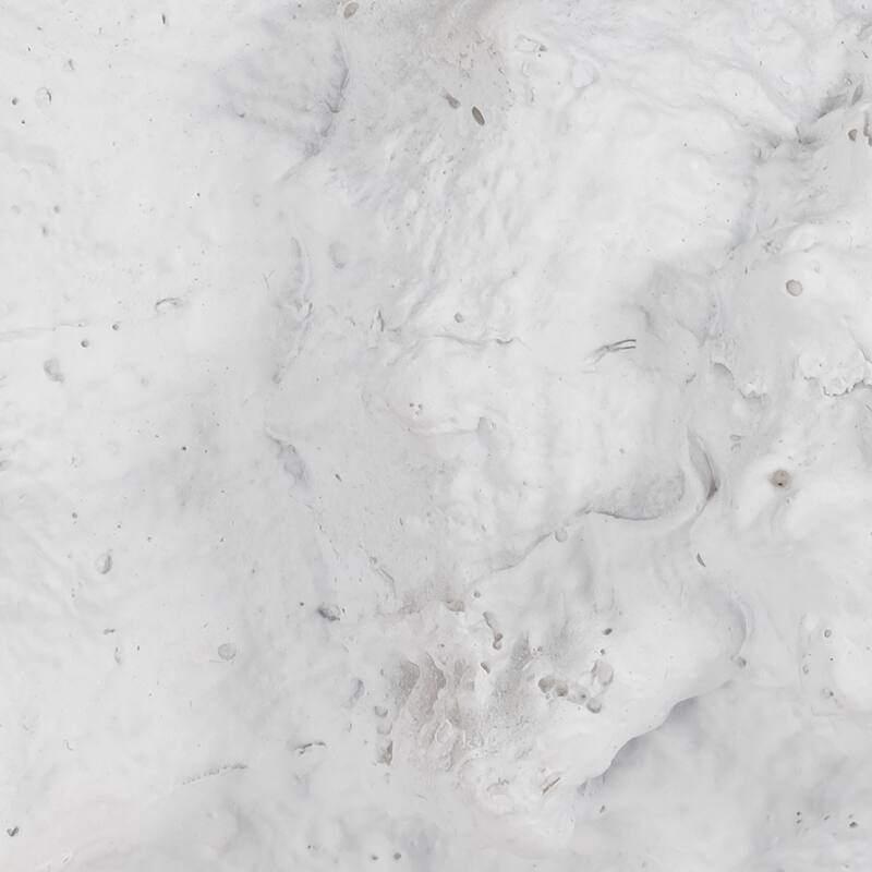 Sagebrook Home Coastal Charm 9" Polyresin White Conch Shell Figurine - 10" x 5" x 5"