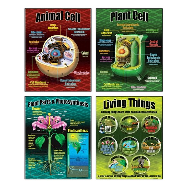Life Science Teaching Poster Set - Overstock - 22155870