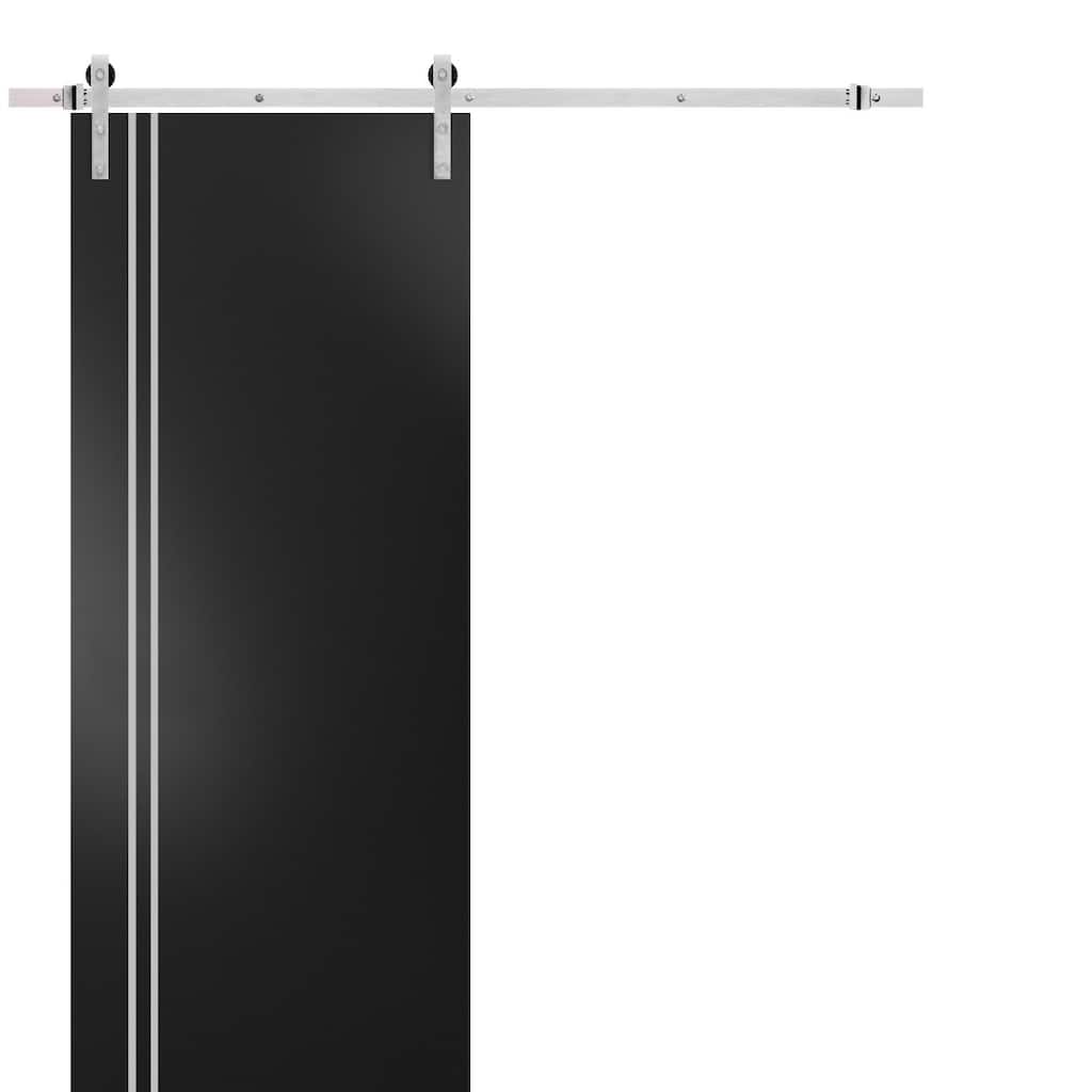 Sturdy Barn Door 36 x 80 Planum 0310 Matte Black with 6.6FT