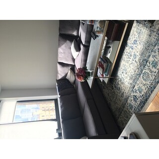 Safavieh Evoke Annabel Vintage Shabby Chic Oriental Rug