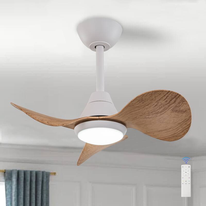 C Cattleya 24" 3 Blades DC Motor Dimmable Integrated LED Ceiling Fan with Remote Control
