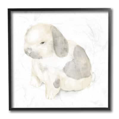 Stupell Adorable Baby Bunny Soft Grey Beige Illustration Framed Giclee Art Design By Daphne Polselli