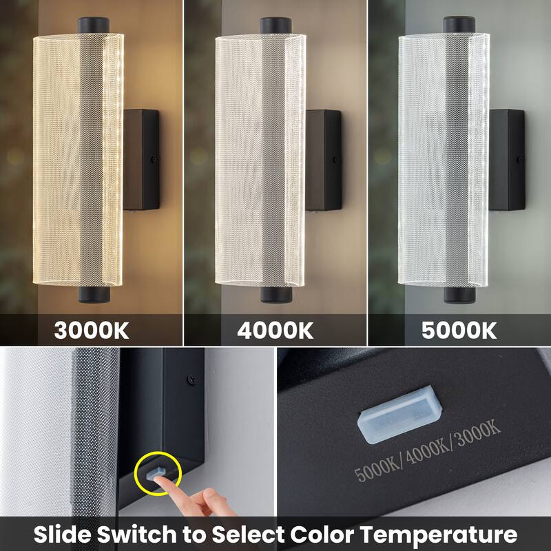 C Cattleya 3CCT Integrated LED Outdoor Wall Sconce with Etched Acrylic Shade