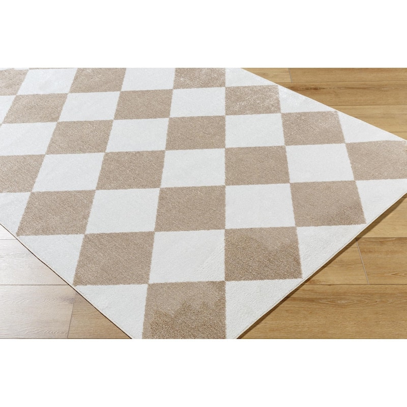 Livabliss Lillian Modern & Contemporary Checkered Indoor/Outdoor Area Rug