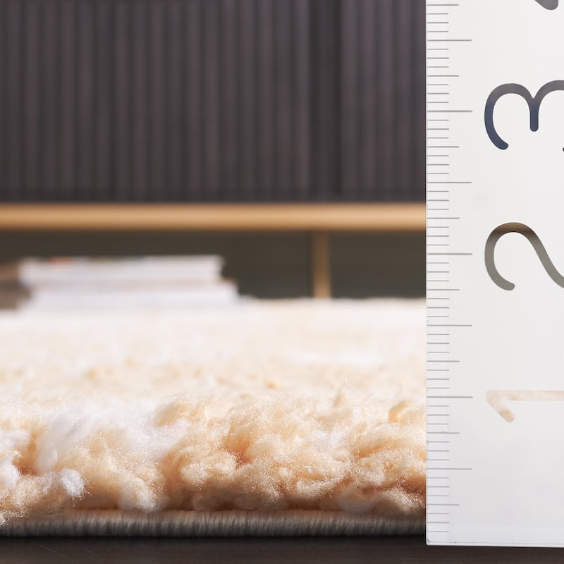 SAFAVIEH Rumi Shag Nolie Shag Rug