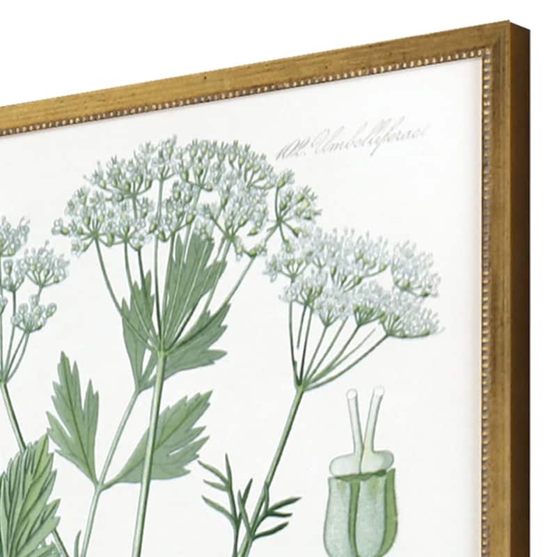 Assemblage S/4 Framed Art Giclee Under Glass