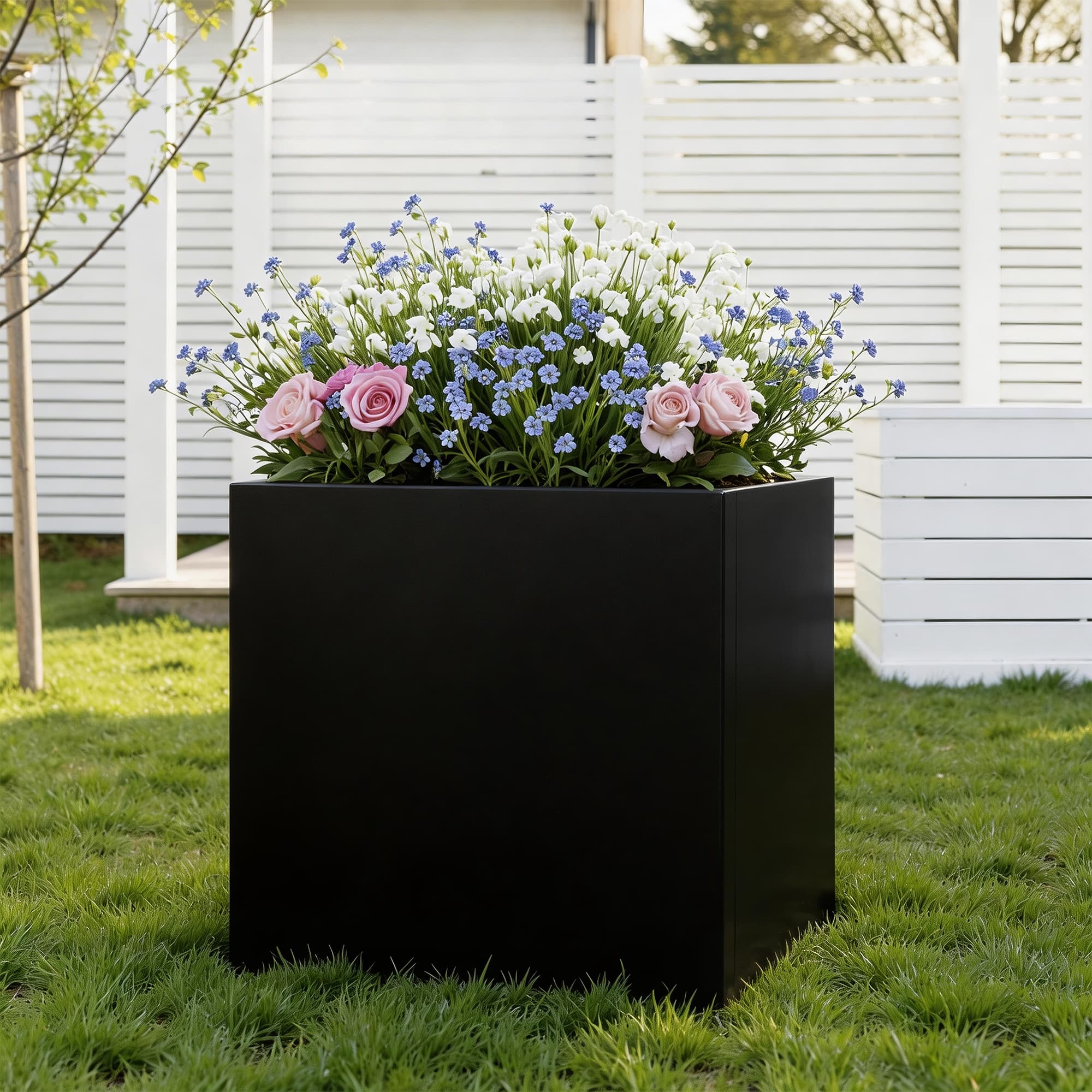 Option Black