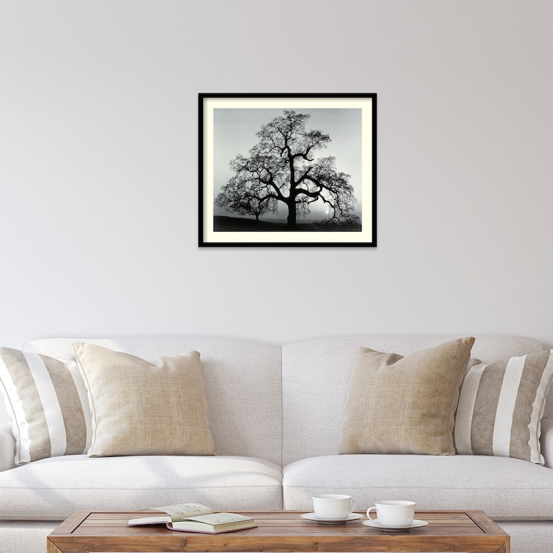 Framed Art Print 'Oak Tree, Sunset City, California, 1962' by Ansel Adams 27 x 23-inch