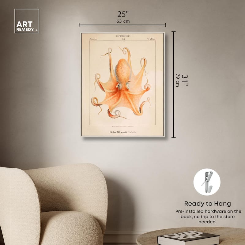 Verany The Octopus 1815 II Canvas by Art Remedy
