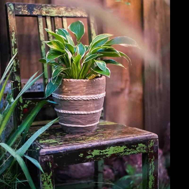 RusticReach Tasha Red Terracotta Planter