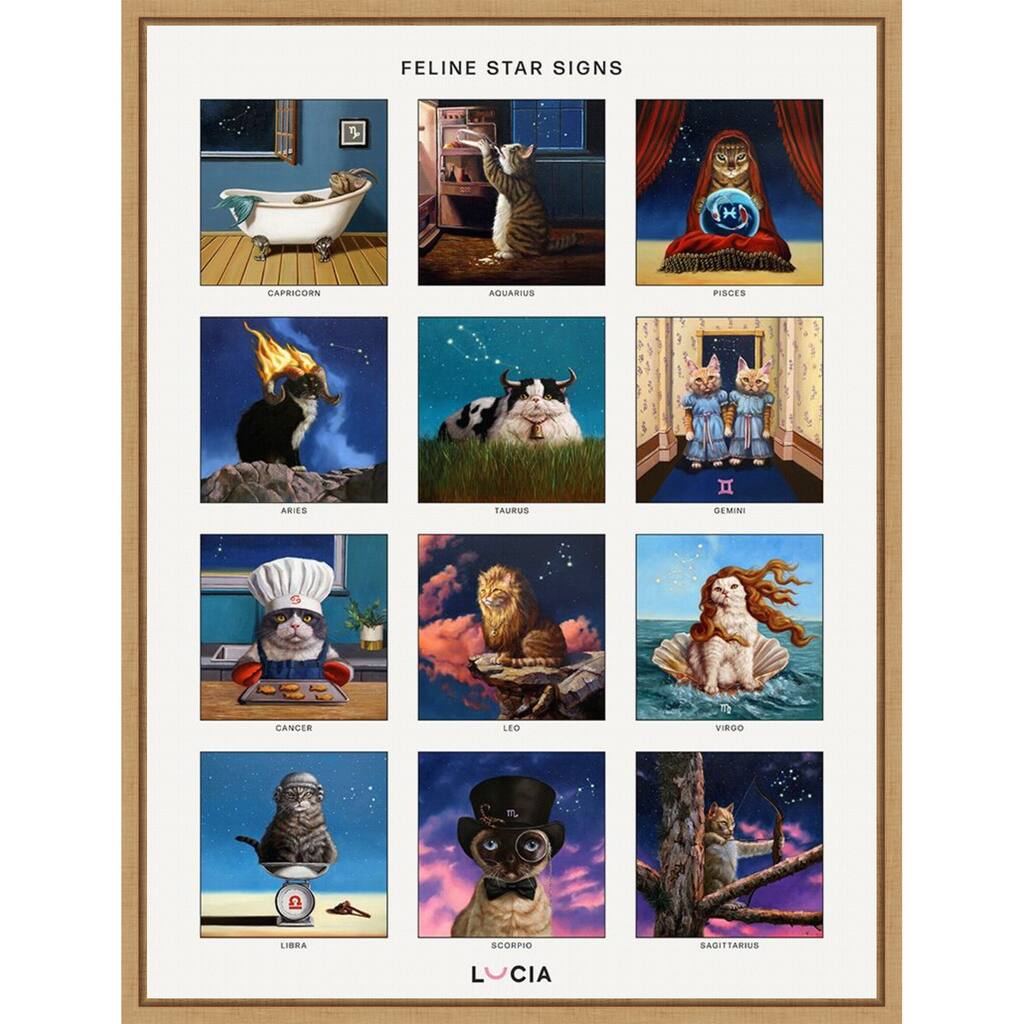 Feline Star Signs by Lucia Heffernan Framed Canvas Wall Art Print