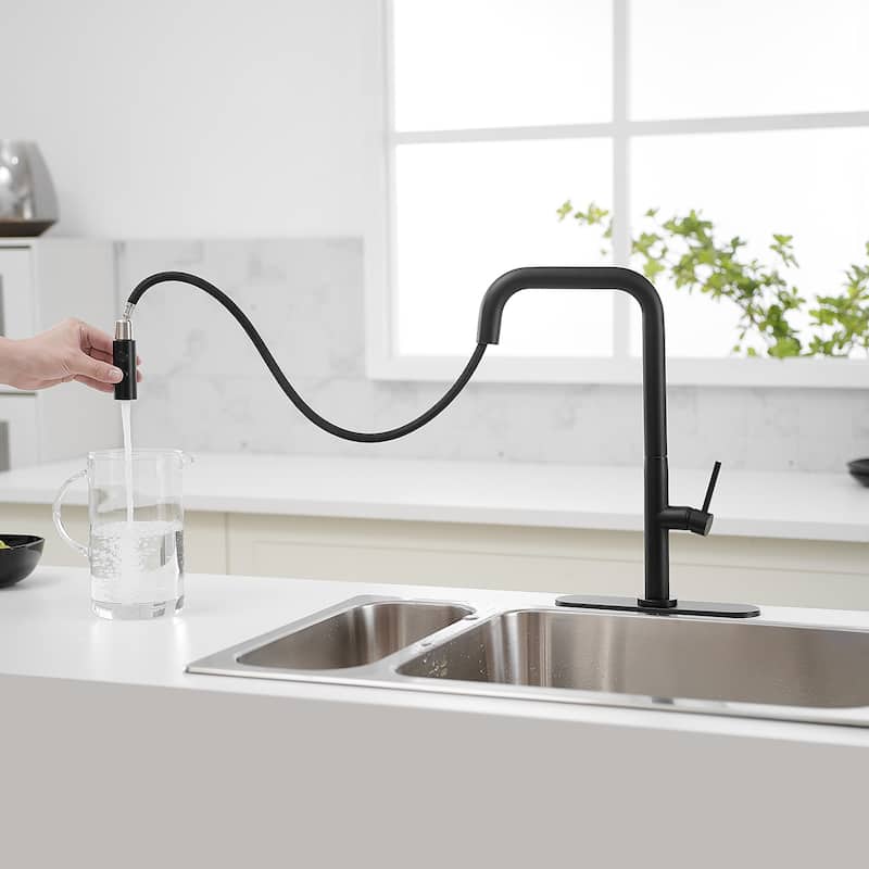 WIZ Pull-Down 1-Spray High Arc Kitchen Faucet With Deck Plate