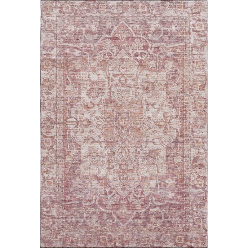 Premium Washable Super Soft Vintage Traditional Mayfield Rug