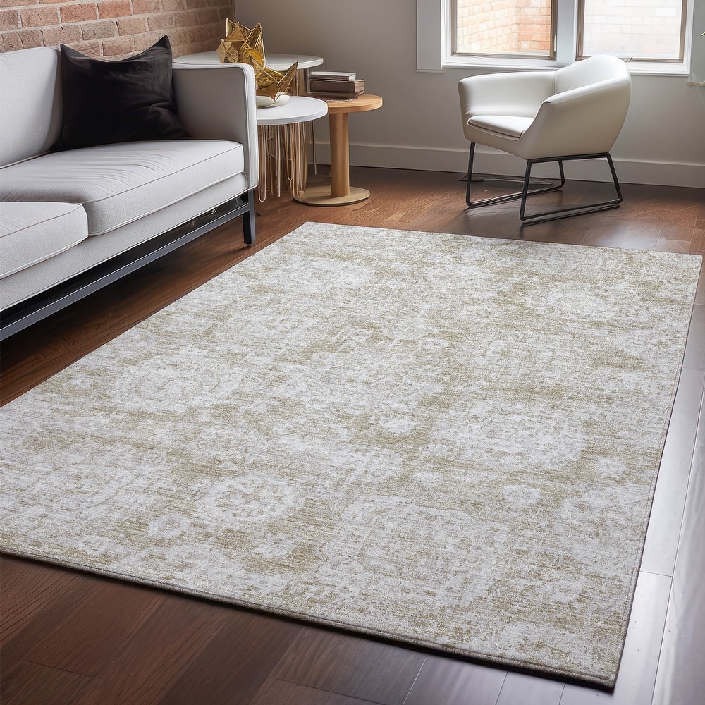 Premium Washable Super Soft Vintage Traditional Mayfield Rug
