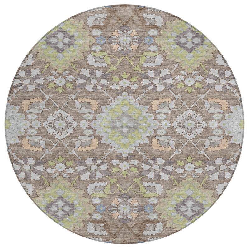Machine Washable Indoor/ Outdoor Boho Traditional Chantille Rug
