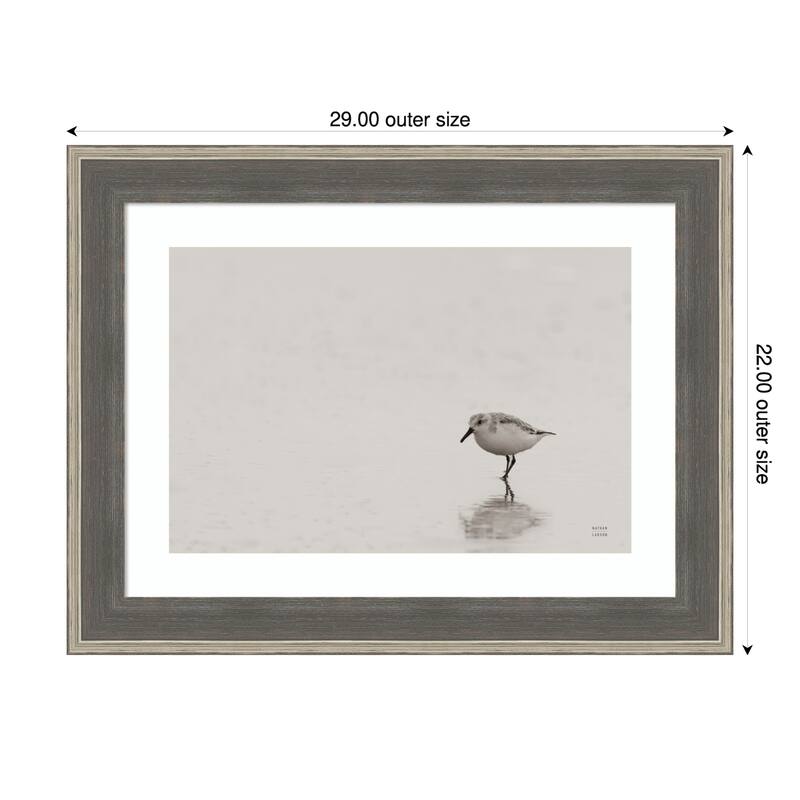 Tybee Island Sanderling by Nathan Larson Wood Framed Wall Art Print - 29 x 22 in - Grey