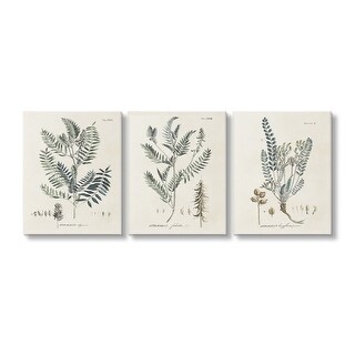 Stupell Woodland Plant Studies Canvas Wall Art Design By Martini (Set ...