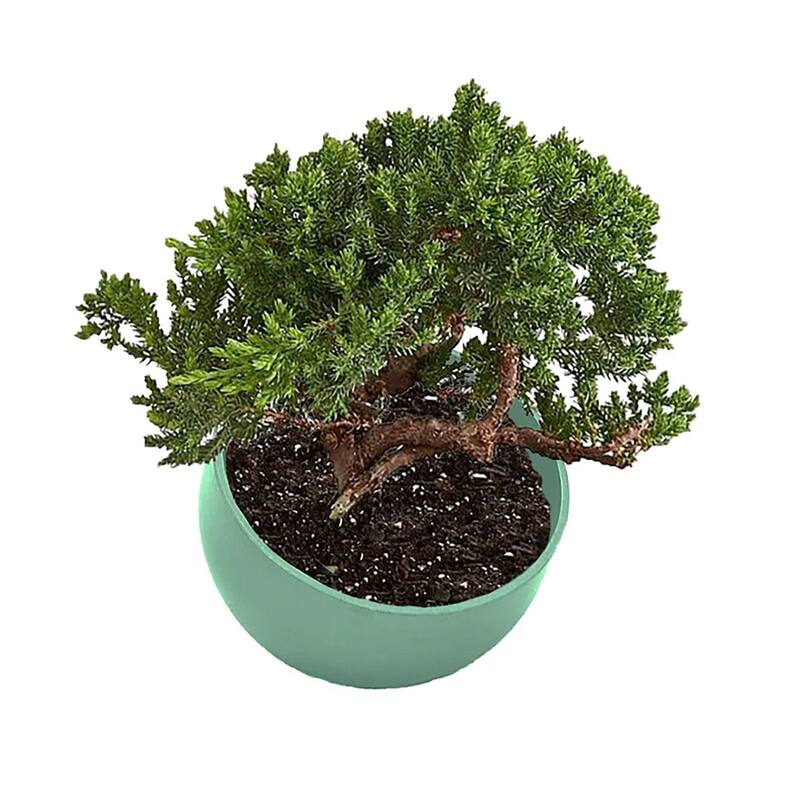 7" Sage Green Orbital Bamboo Planter
