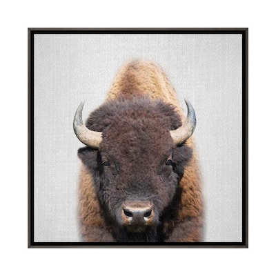 iCanvas "Buffalo" by Gal Design Framed