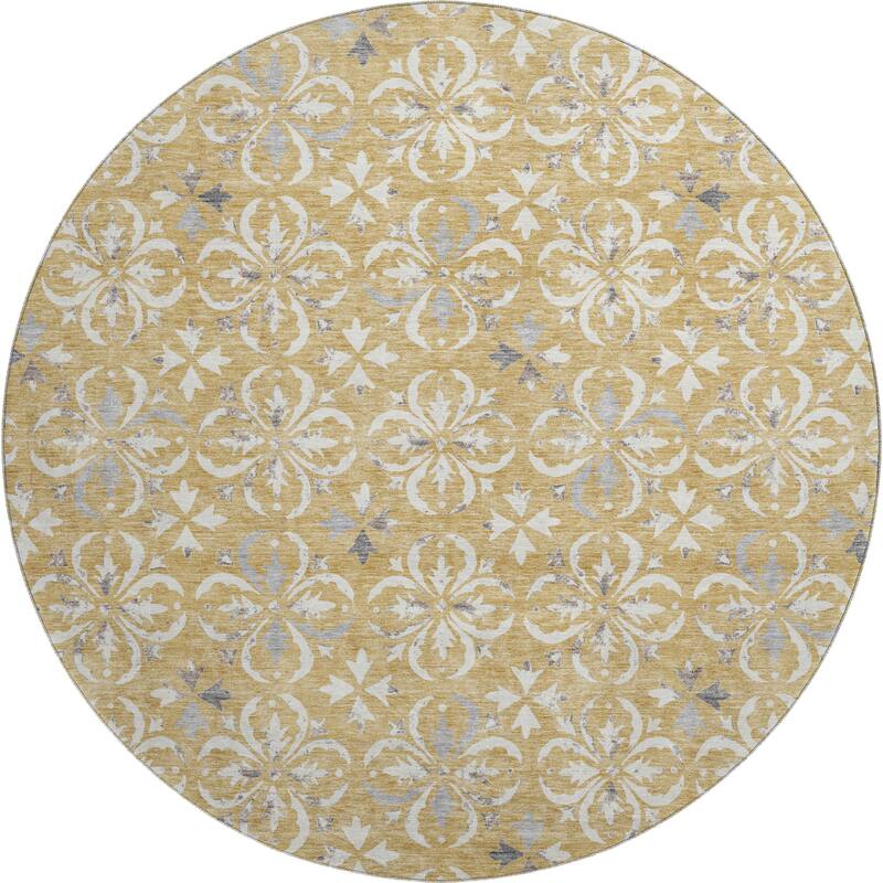 Premium Washable Super Soft Transitional Medallions Mayfield Rug