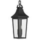preview thumbnail 5 of 12, Cleary 2-Light Outdoor Pendant with Clear Glass - 24.75
