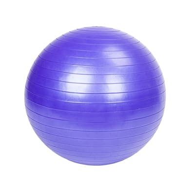 55cm Gym/Household Explosion-proof Thicken Yoga Ball Smooth Surface