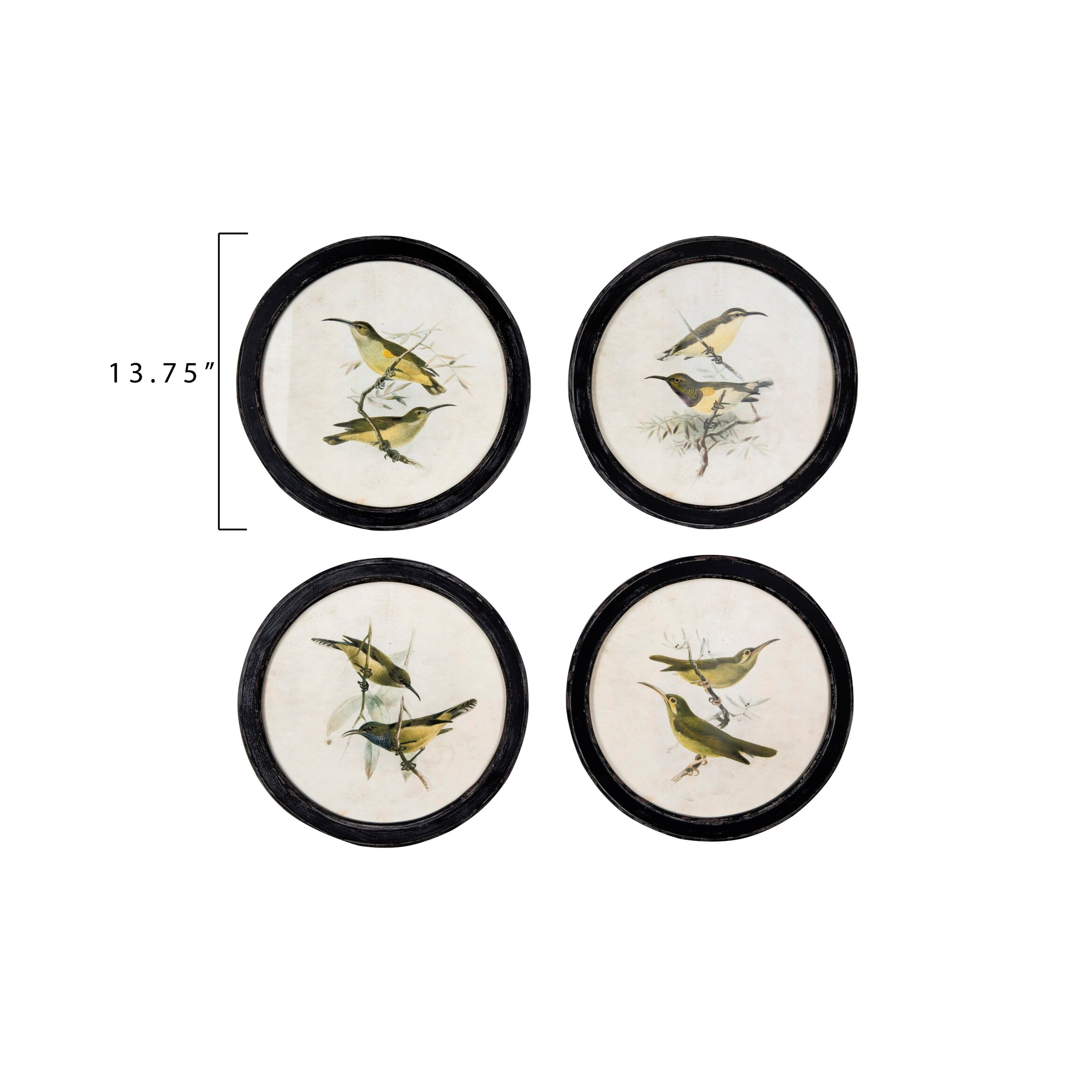 Shop Birds On Twigs Wall Decor In Distressed Black Round Frame