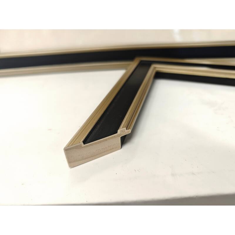 Solid Wood Picture Frame - Replaceable Canvas Art Frame with Organic Glass, Elegant Framed Wall Decor for Living Room