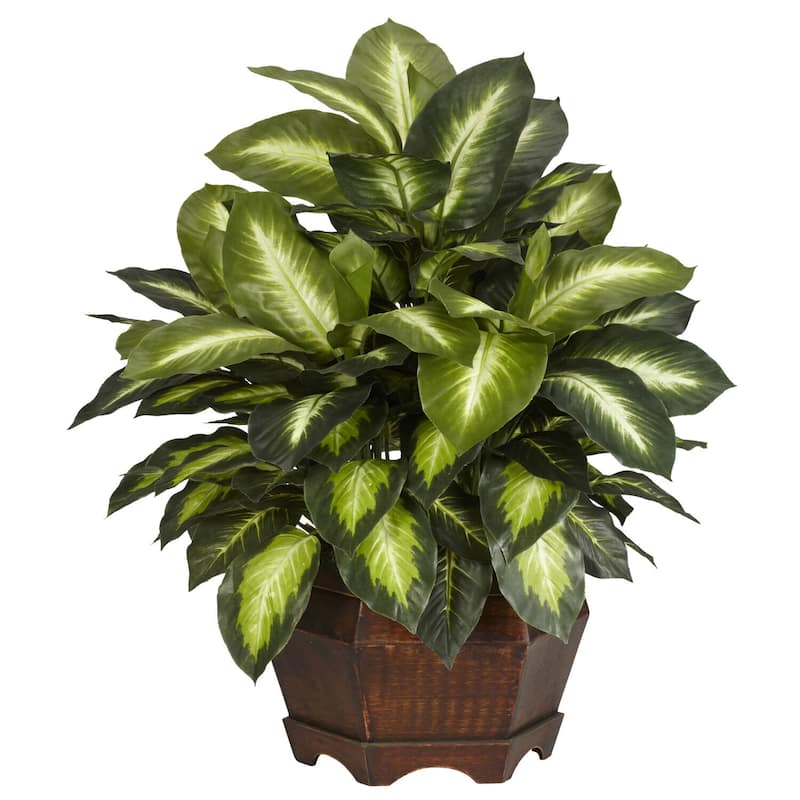 Golden Dieffenbachia Silk Plant - 24" Decorative Faux Greenery in Hexagon Pot for Home Decor - 2ft.