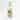 Avanti Colony Palm Lotion Dispenser - Lotion Dispenser