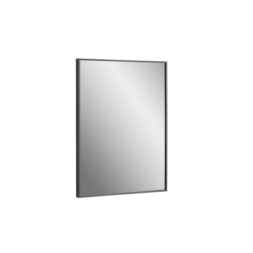 Vera 24 in. x 32 in. Modern Rectangle Framed Vanity Mirror
