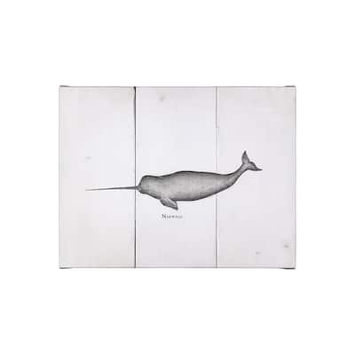 Narwhal (26 x 20) Canvas Art Print