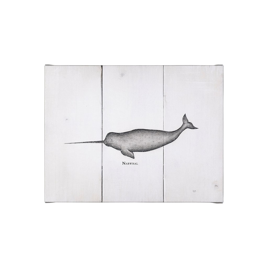 Narwhal (26 x 20) Canvas Art Print