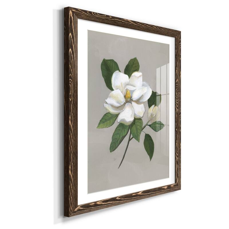 Botanical Magnolia-Premium Framed Print - Ready to Hang