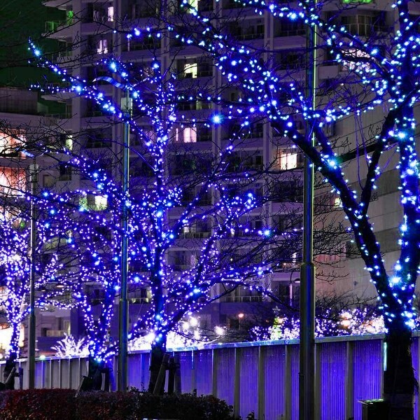 12m fairy lights cheap