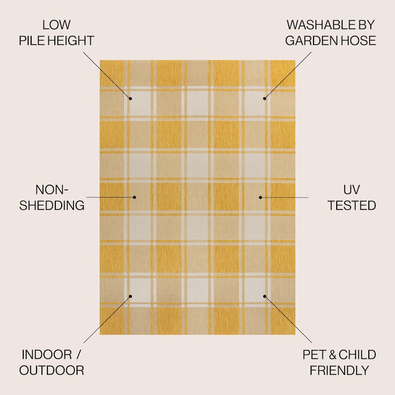 JONATHAN Y Lior Traditional Farmhouse Bold Gingham Indoor/Outdoor Area Rug