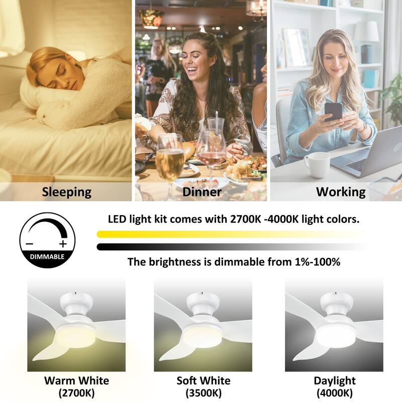 CARRO Chamomile 45" ABS 3-Blade Indoor Smart Ceiling Fan with Light and Remote