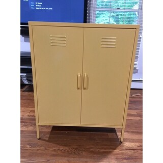 locker novogratz metal cabinet door storage