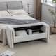 Option Ivory/Teddy