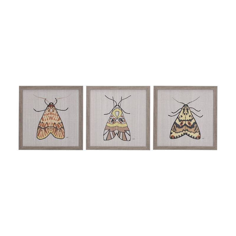 Moth II Framed Art Print
