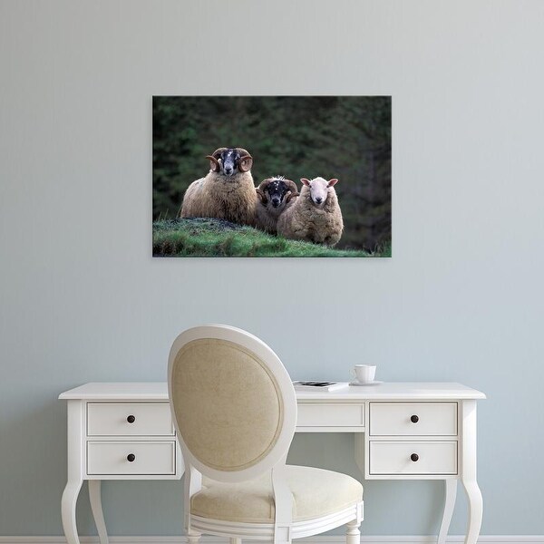 Easy Art Prints Gavriel Jecan's 'Scottish Sheep' Premium Canvas Art