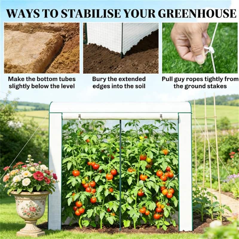 Mini Greenhouse, Portable Greenhouse, Planting Rack, Plant Rack, Green - white