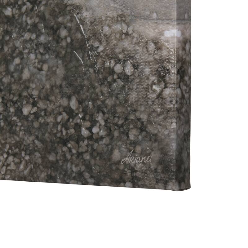 Mudslide II (28 x 42 ) Canvas Art Print