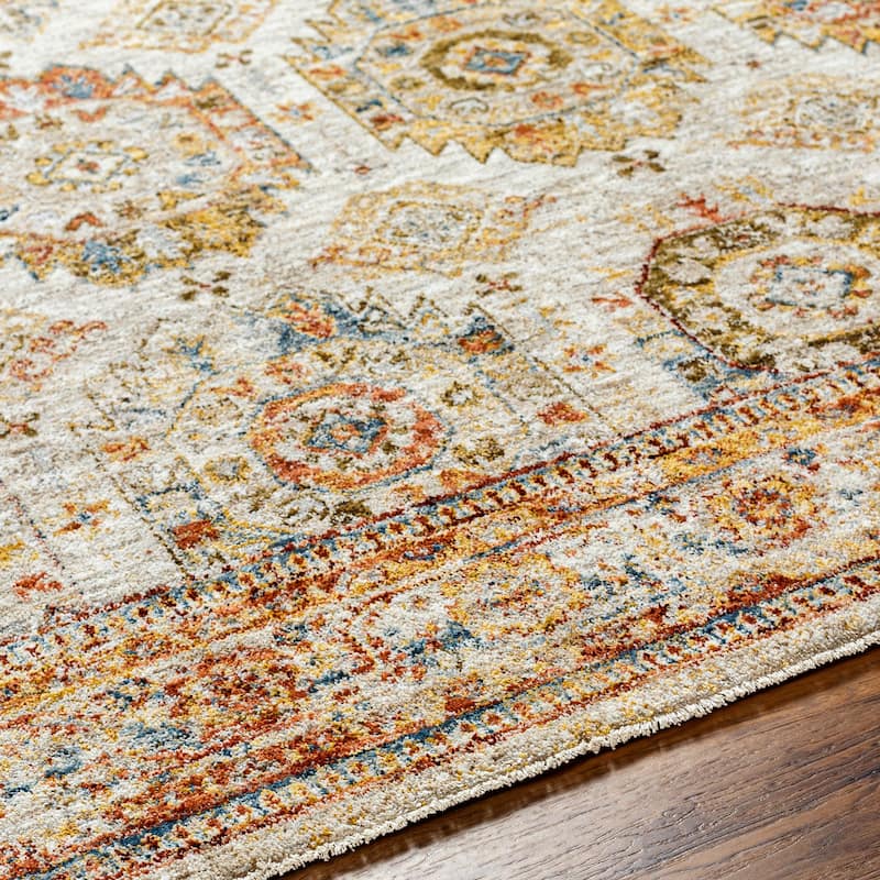 Terriey Traditional Area Rug