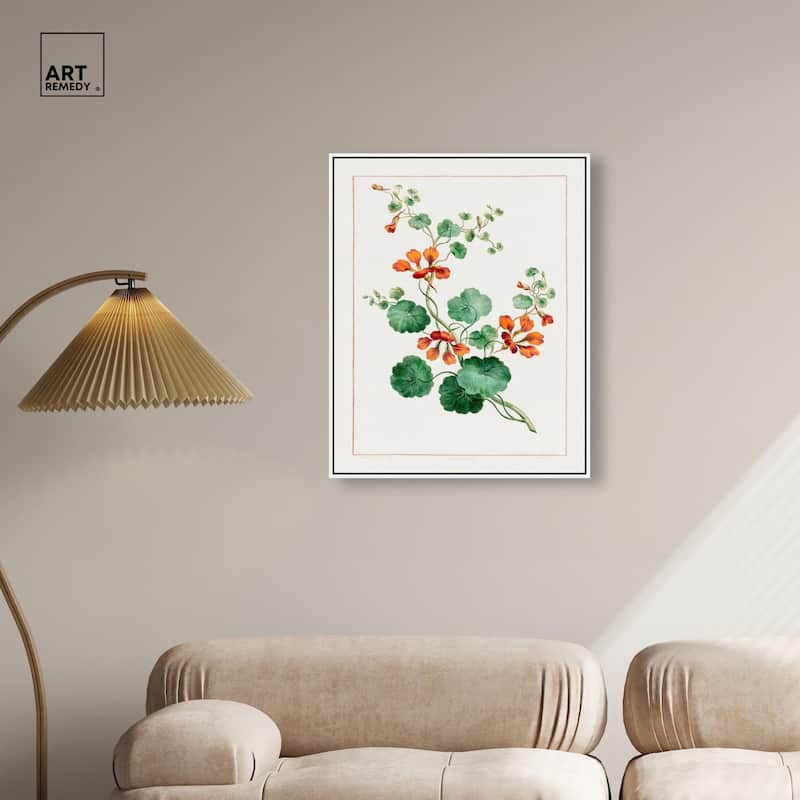 Nasturtium (1788) Canvas by Art Remedy